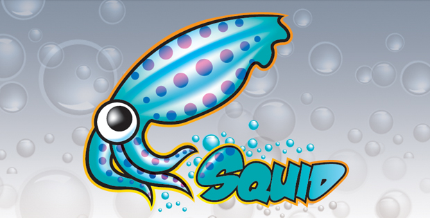 mangle mikrotik squid